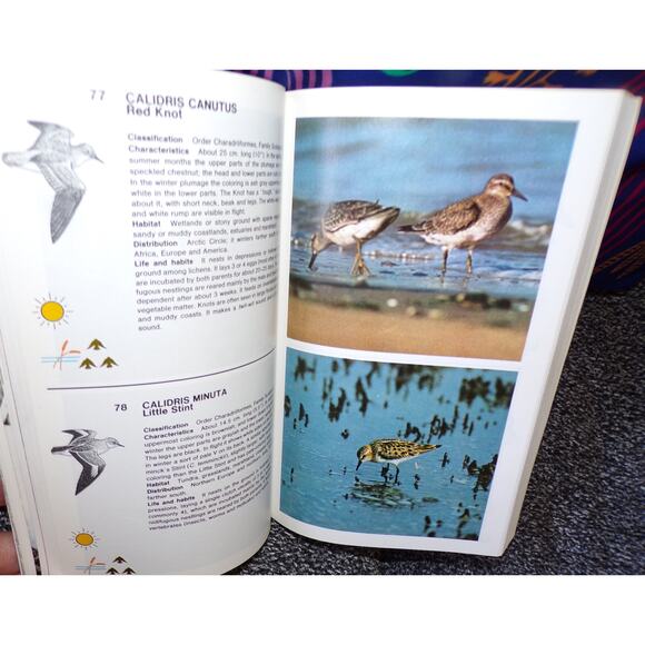 Simon & Shuster's Guide To Birds book 500 full color photos Nature Guide Series - Picture 3 of 6